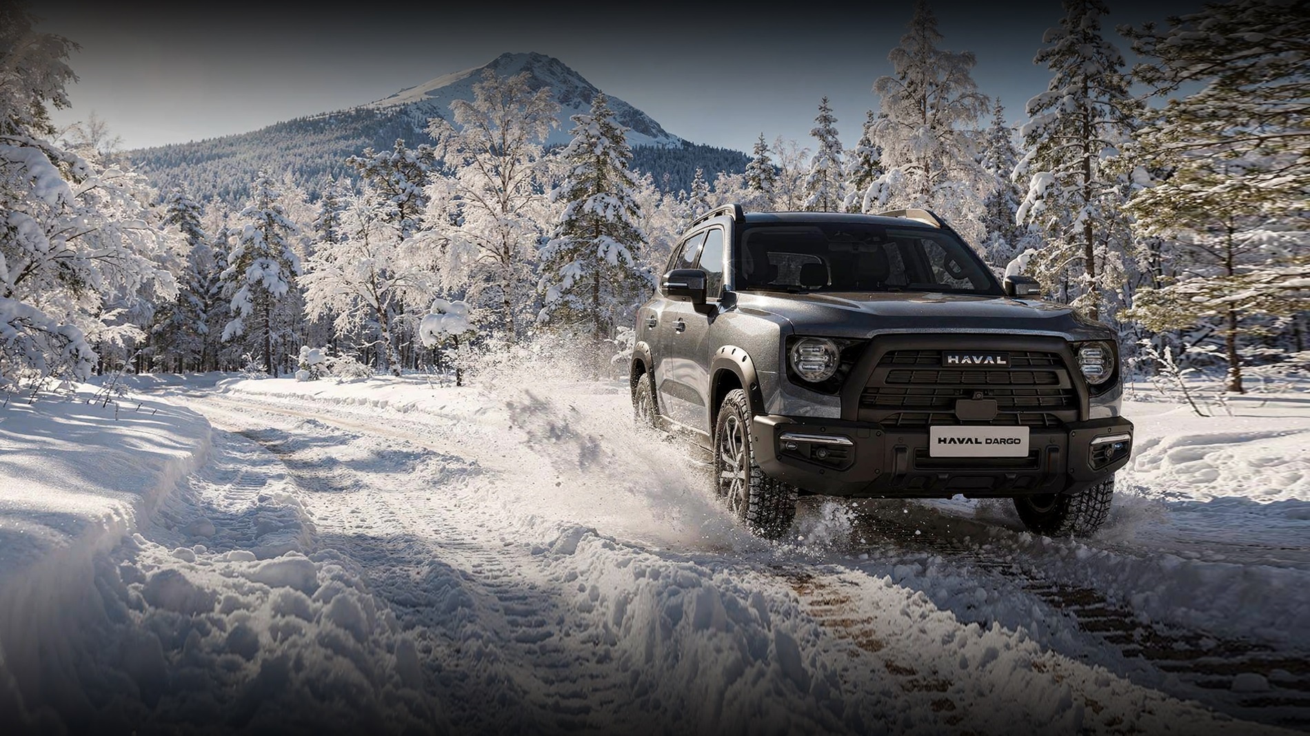 Qudratli HAVAL Dargo